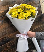Букет цветов из:  Хризантемы #REPLACE_PRED# Татарске