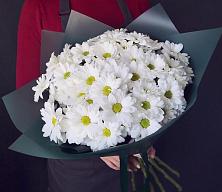 Букет цветов из:  Хризантемы #REPLACE_PRED# Татарске