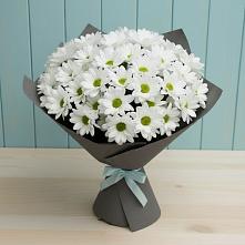 Букет цветов из:  Хризантемы в Татарске