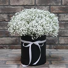 Цветочная композиция из Гипсофила в шляпной коробке в Татарске