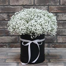Цветочная композиция из Гипсофила в шляпной коробке в Татарске