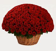 Премиум букет из: Розы в Татарске