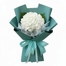 Букет цветов из:  Гортензия в Татарске